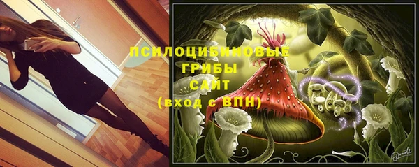 СК Абдулино